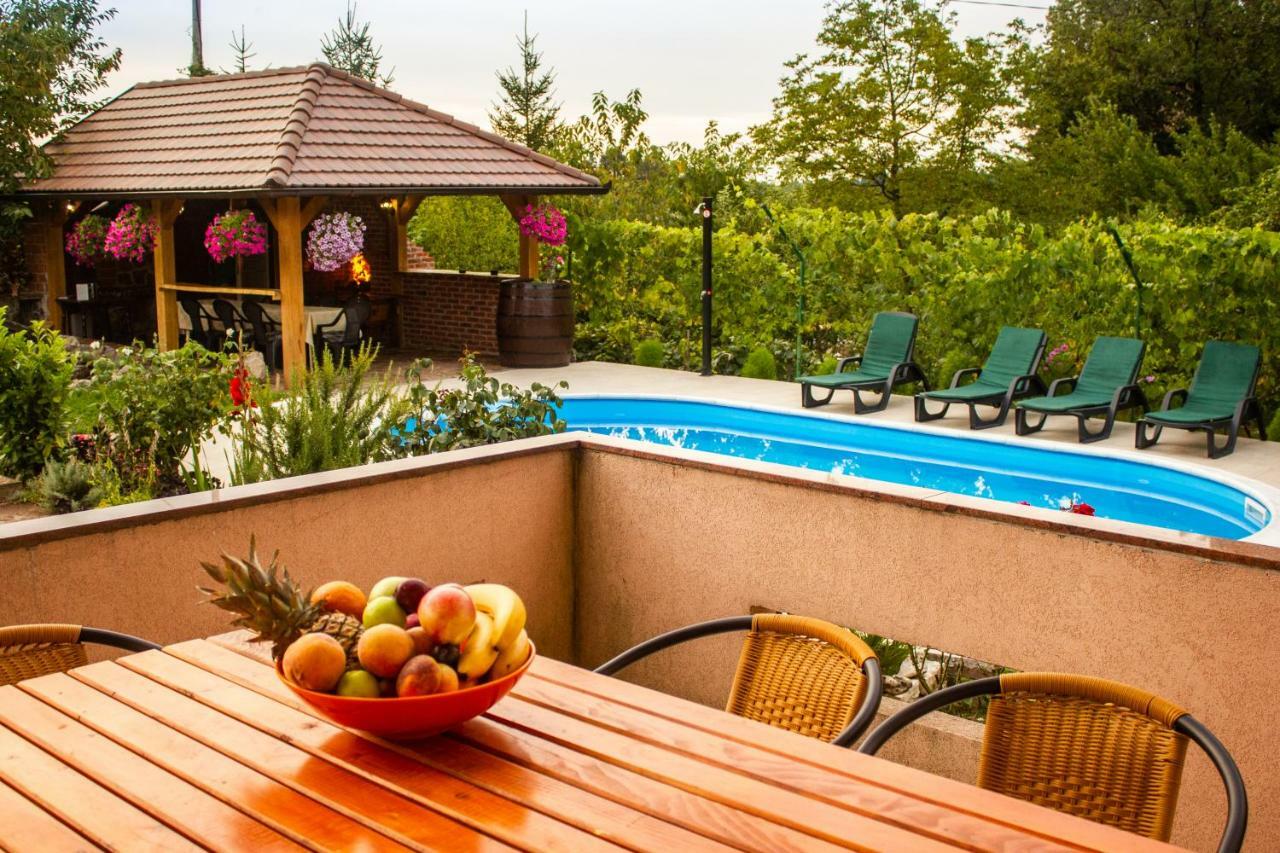 Villa Katarina With Pool Banja Luka Extérieur photo